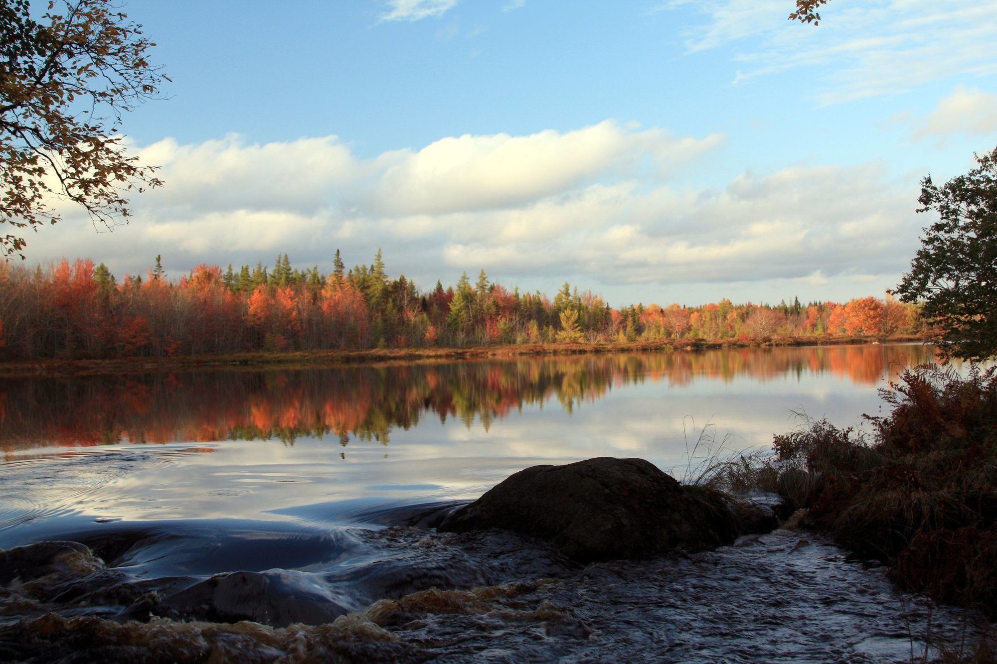Trout Point Lodge Of Nova Scotia East Kemptville Facilities photo